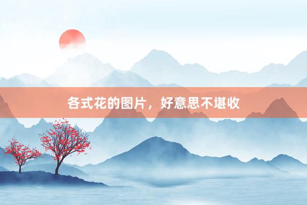 各式花的图片，好意思不堪收